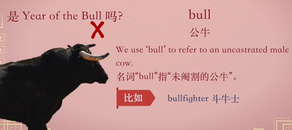 牛年的牛是cow,bull还是ox?
