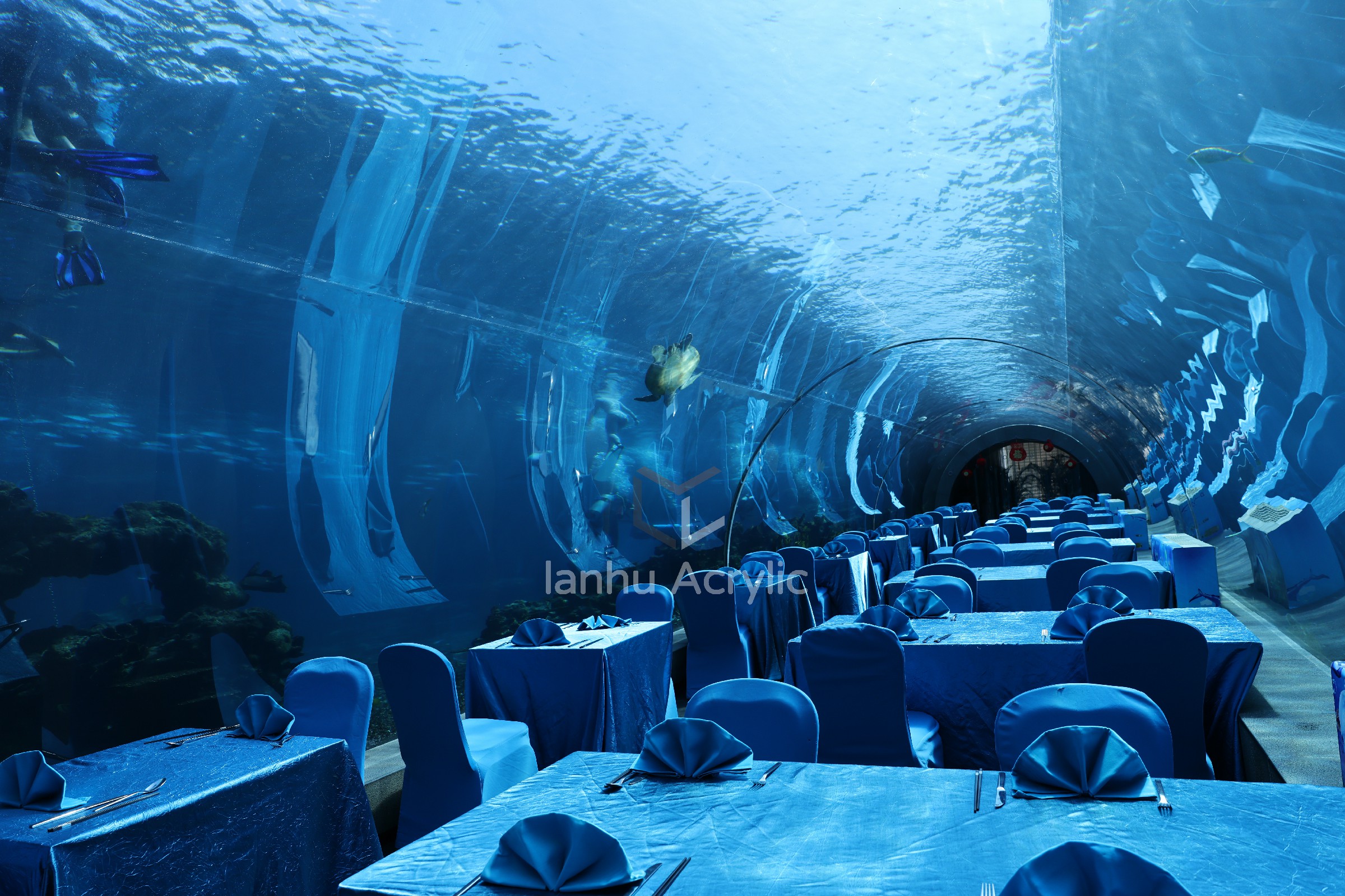 什么是大型水族工程,海洋馆建造为什么用亚克力板