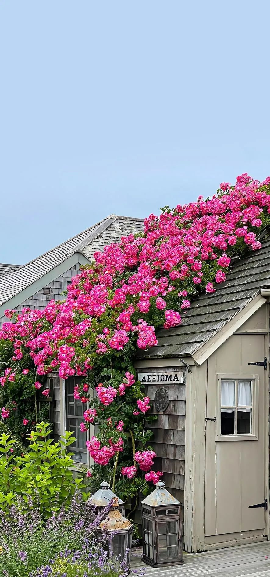 温暖治愈系壁纸,留存心灵的温馨印记