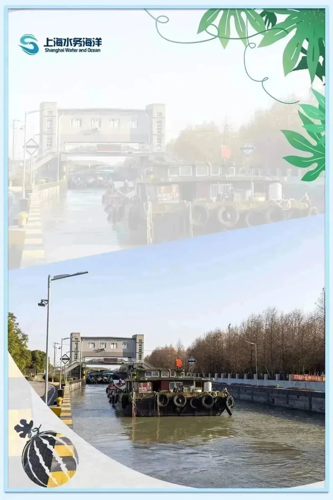 水韵61节气|暑盛至极 顺颂夏祺