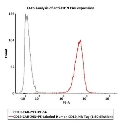 acrobiosystems百普赛斯荧光标记蛋白,解决多靶点car检测难题