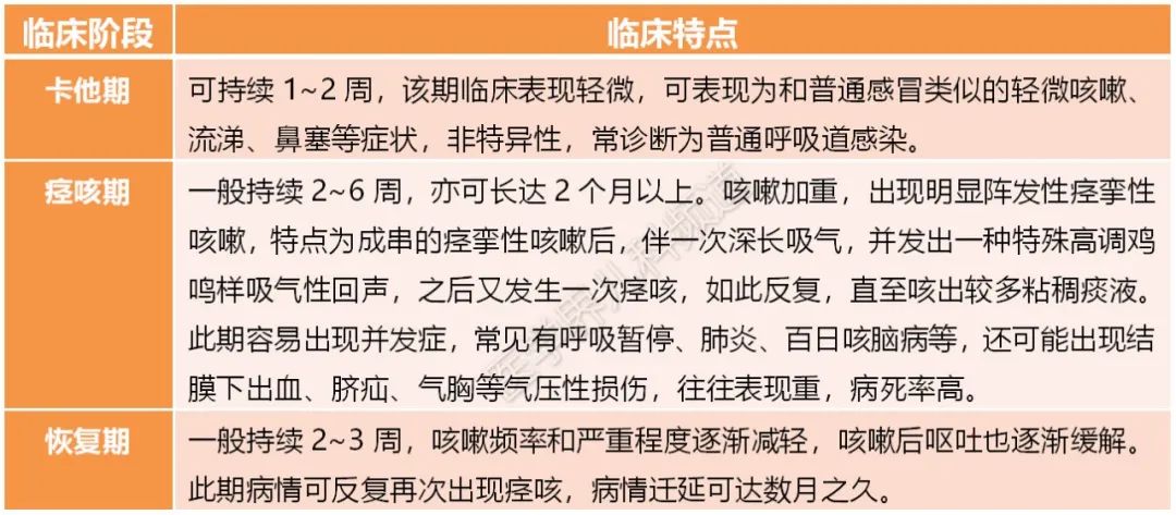 百日咳怎麼才能儘早診斷?看完這篇就明白了