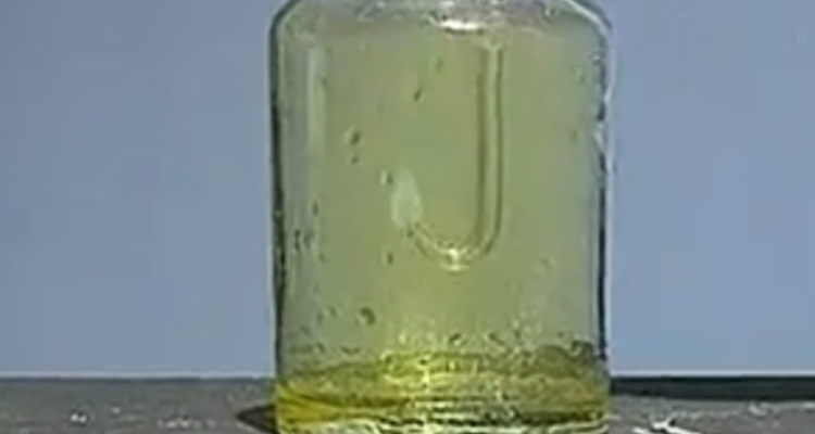 氯气和铁反应现象