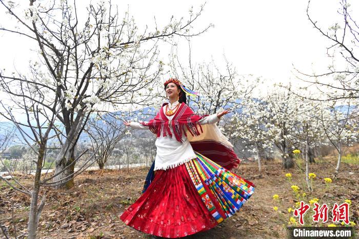 四川金川万亩梨花绽放