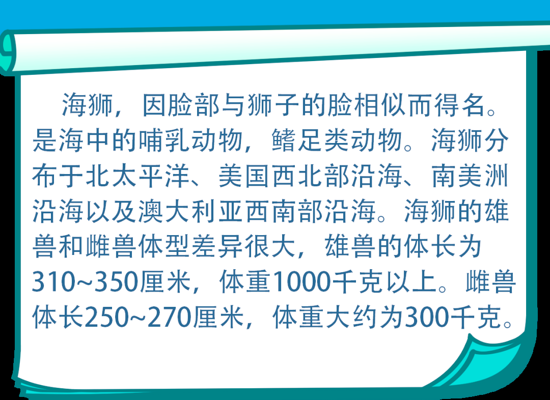 海洋科普:探索海狮的智慧与力量