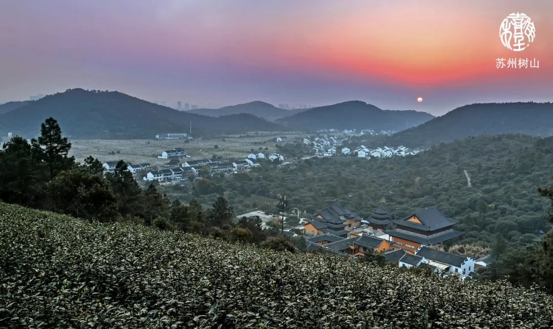 冬日運動樂趣,盡在樹山村!「漫步者旅行團建」