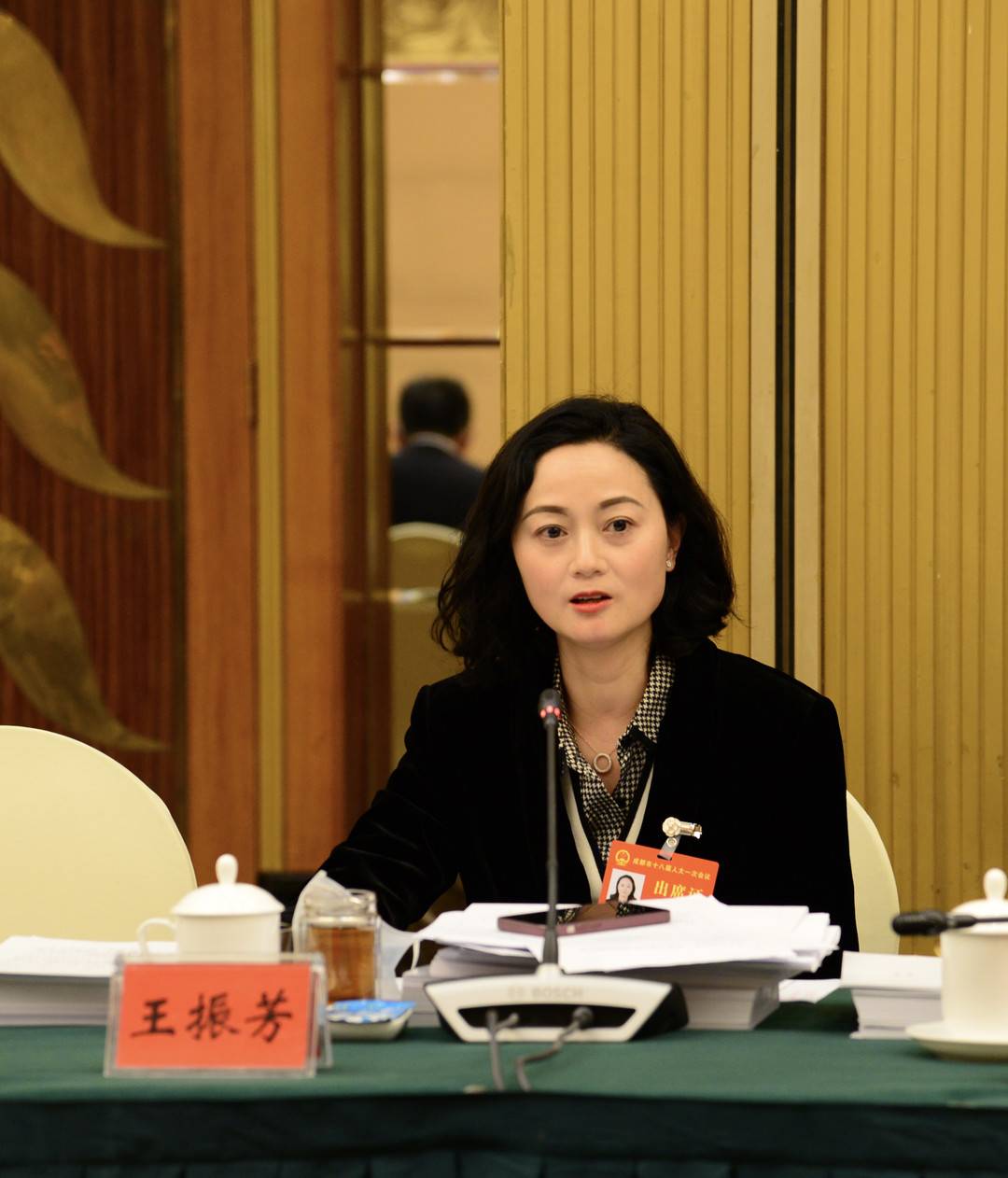 成都市人大代表王振芳:利用供销社的"力量" 打通农村电商物流的"最后