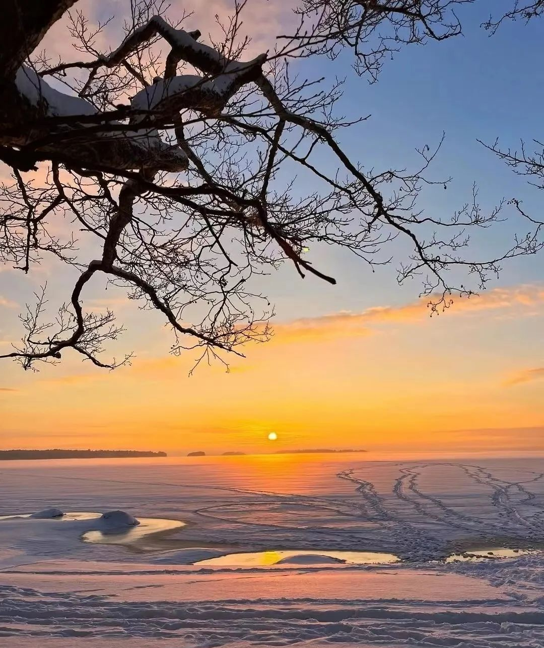 新疆阿勒泰雪景摄影师镜头下的美图,令人陶醉