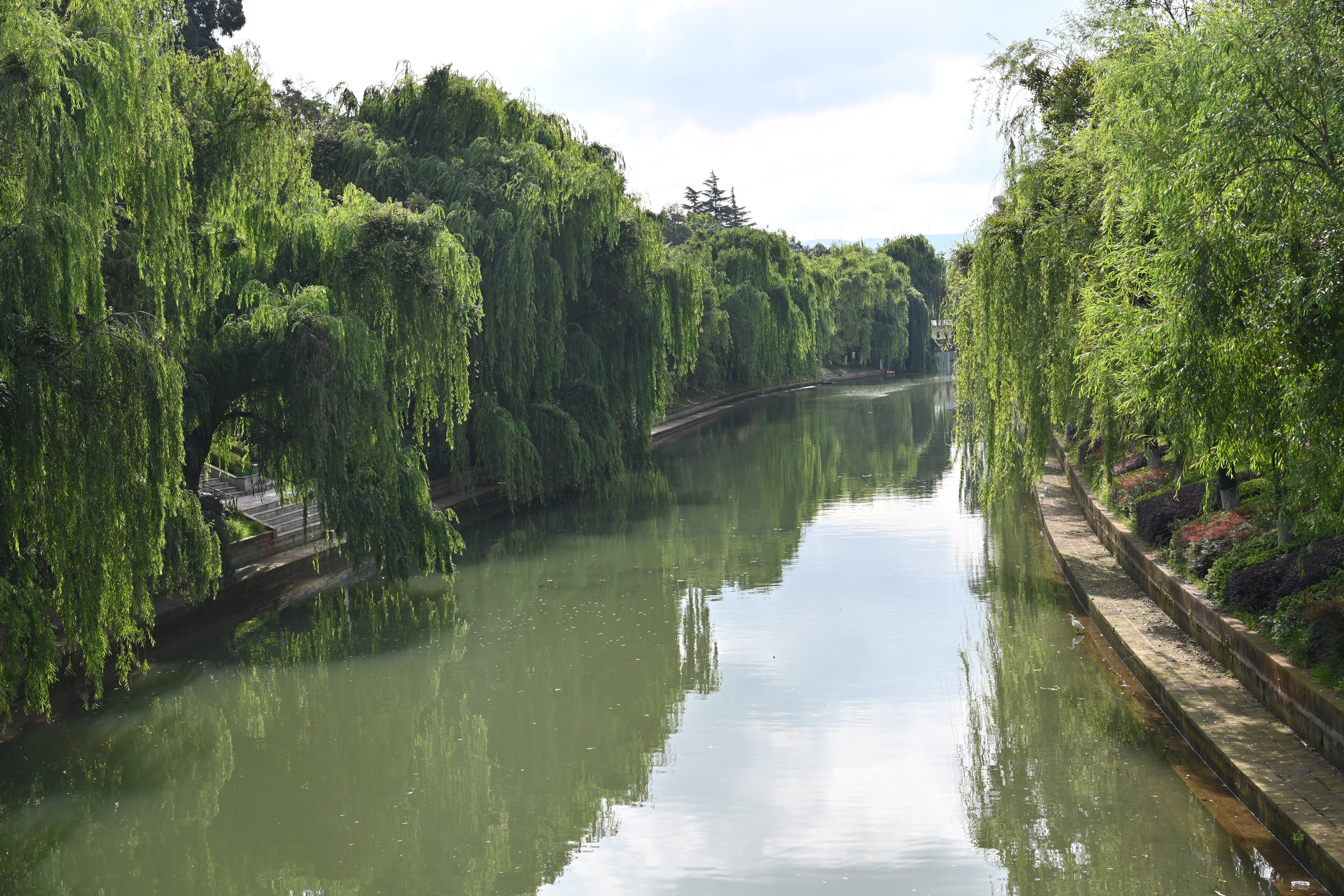 夏天河滨公园景色迷人