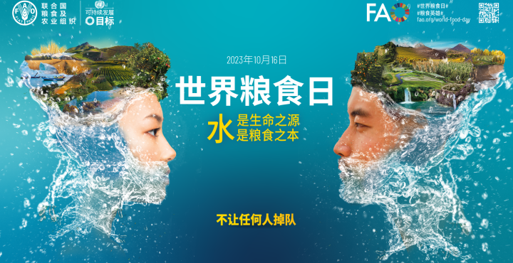 联合国粮农组织2023年世界粮食日宣传视频