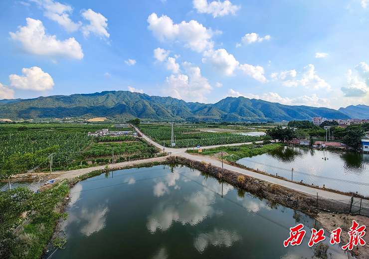 沙浦镇全力创建中国农业公园,打造农业现代化强镇!