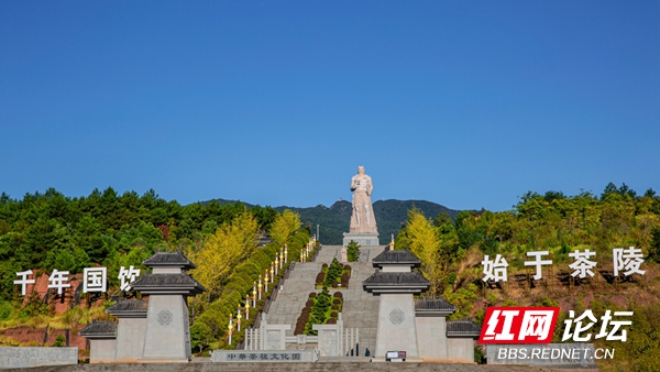 千年國飲,始於茶陵,瀏覽中華茶祖印象主題公園