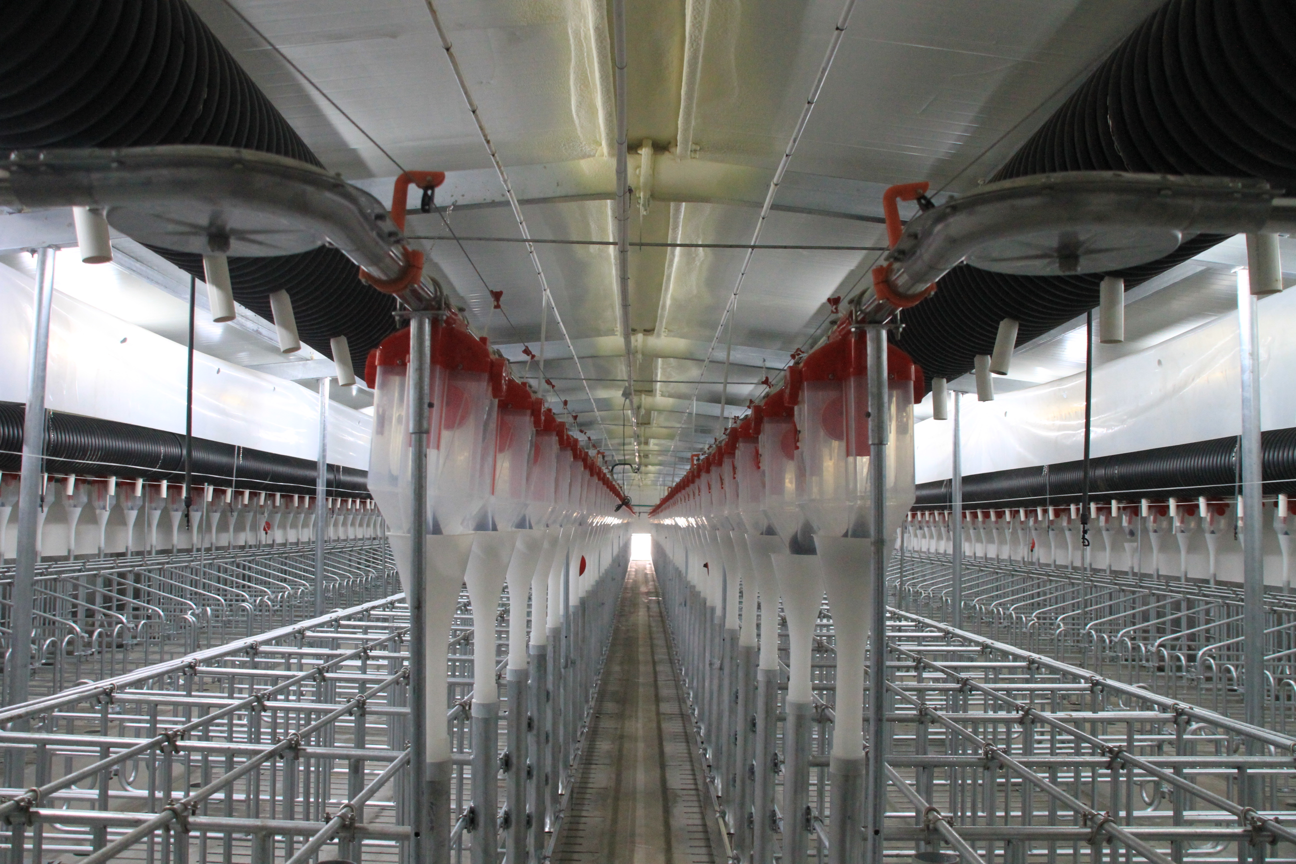 自动化料线工程,你了解多少?