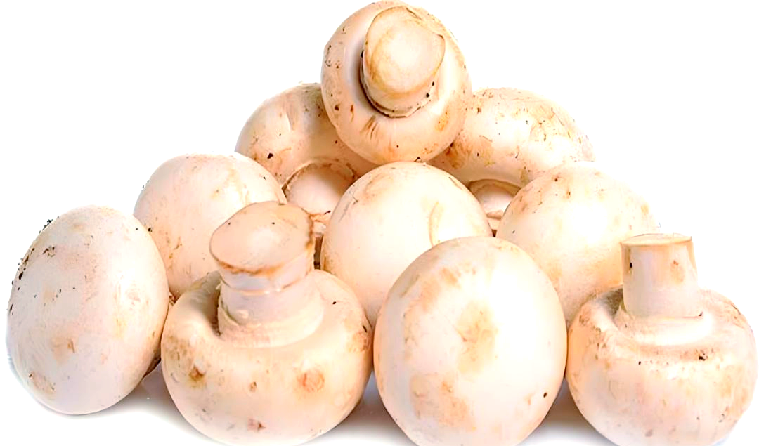 菌藻类食物食用禁忌指南