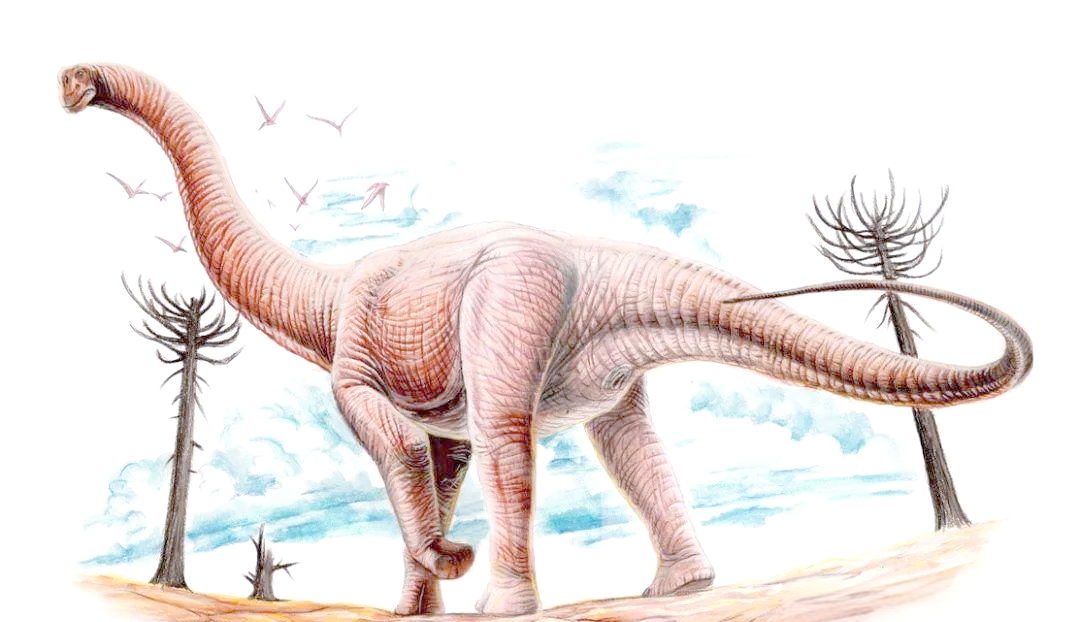 阿根廷龙:地球上曾经生活过的巨大陆地动物