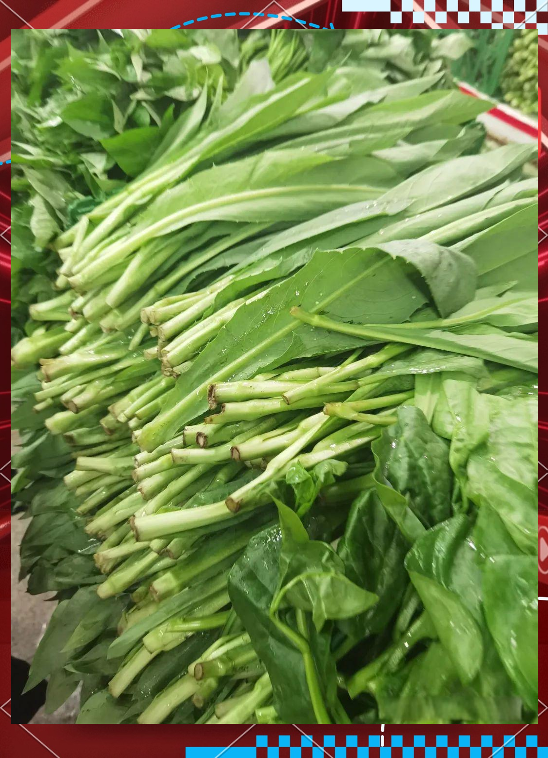 探索苦麦菜的多种做法与吃法