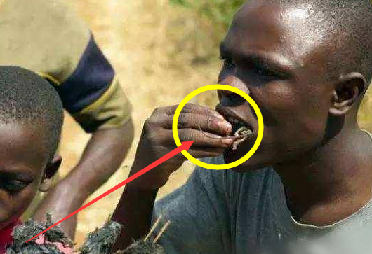 这就是非洲人吃饭手抓的习惯