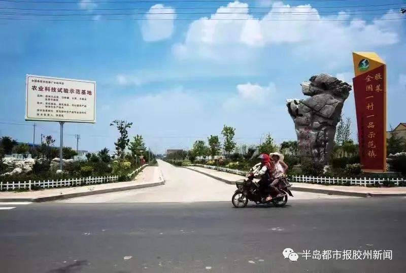 胶莱街道南王疃村获评全省景区化村庄