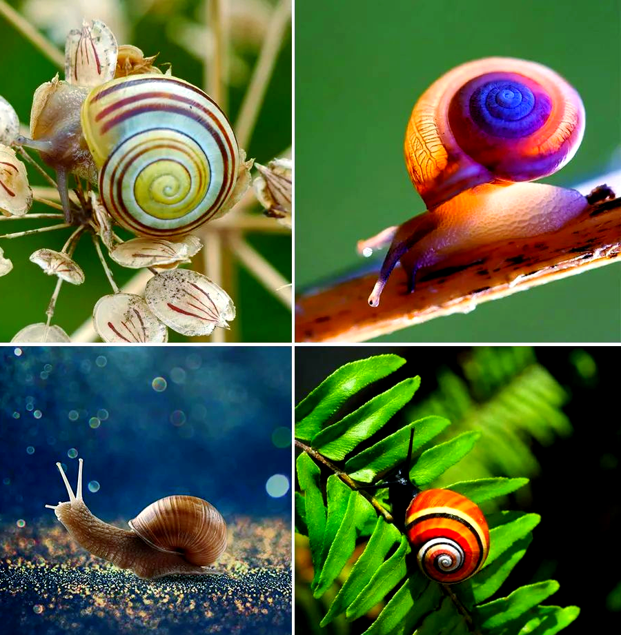 趣味线描与创意撕贴:探索幼儿画星空下的小蜗牛