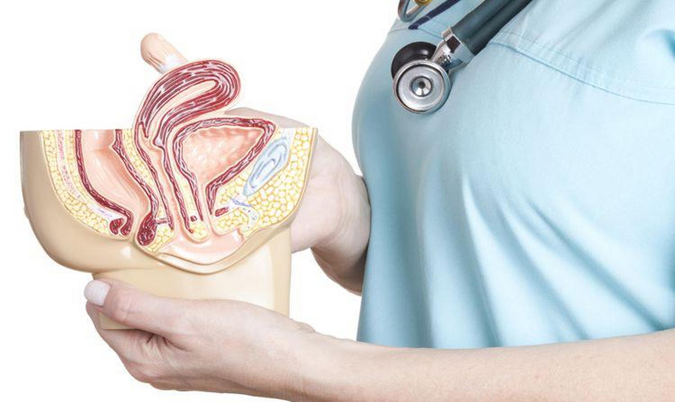 科普:你知道女性"前列腺"吗?