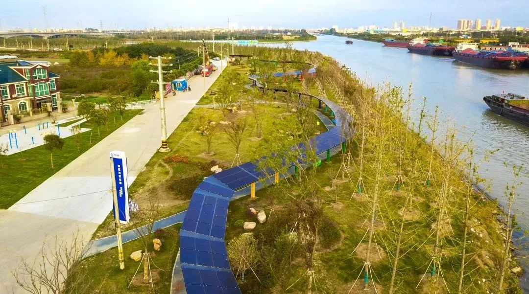 从锈迹斑斑到绿草悠悠!海陵新通扬运河沿途风景如画