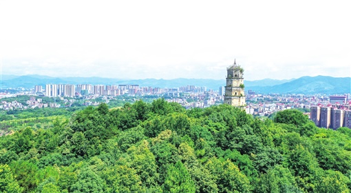 走,去"南有新田"寻找诗和远方