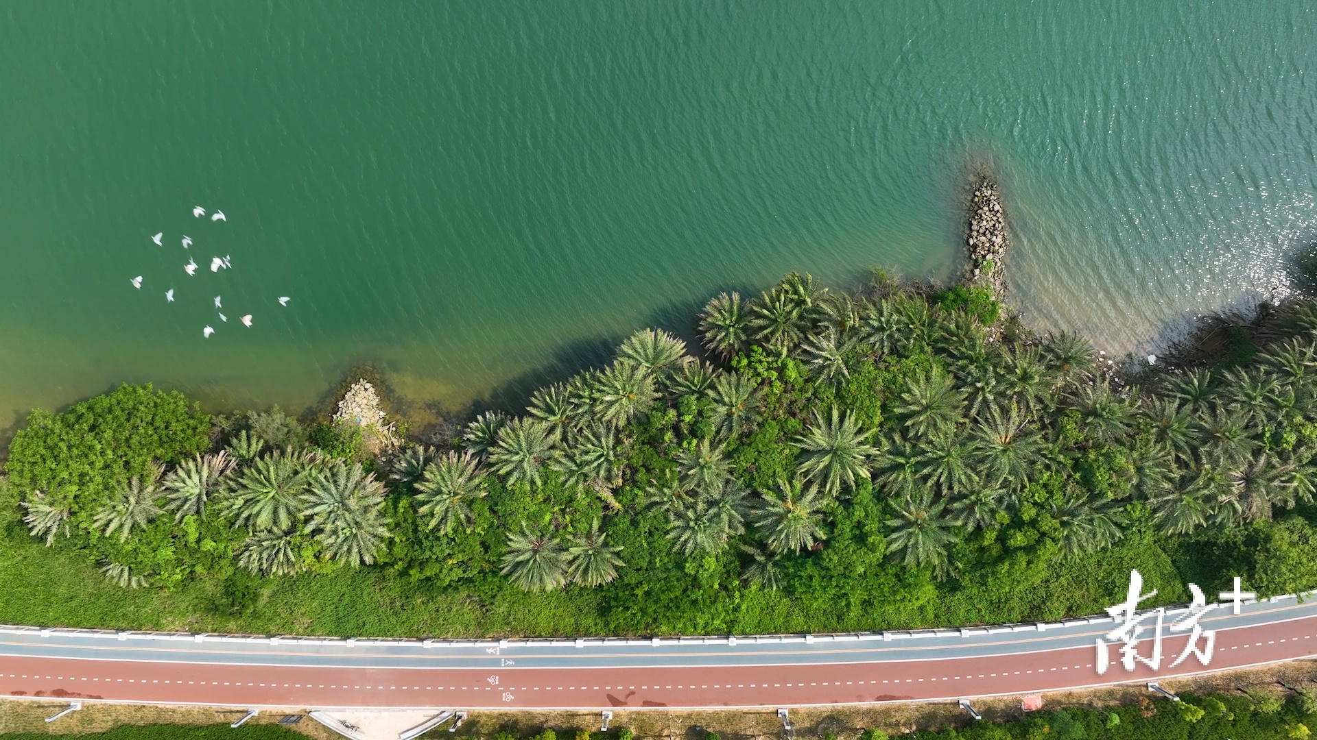 强产业引擎,写绿美文章!南方 龙祥视窗正式上线