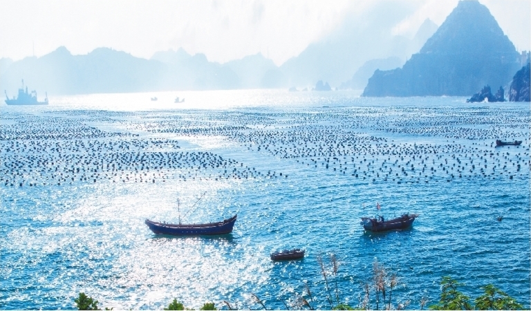 让"大连蚝"叫响全国——庄河市创新模式全力建设"生蚝小镇"纪实