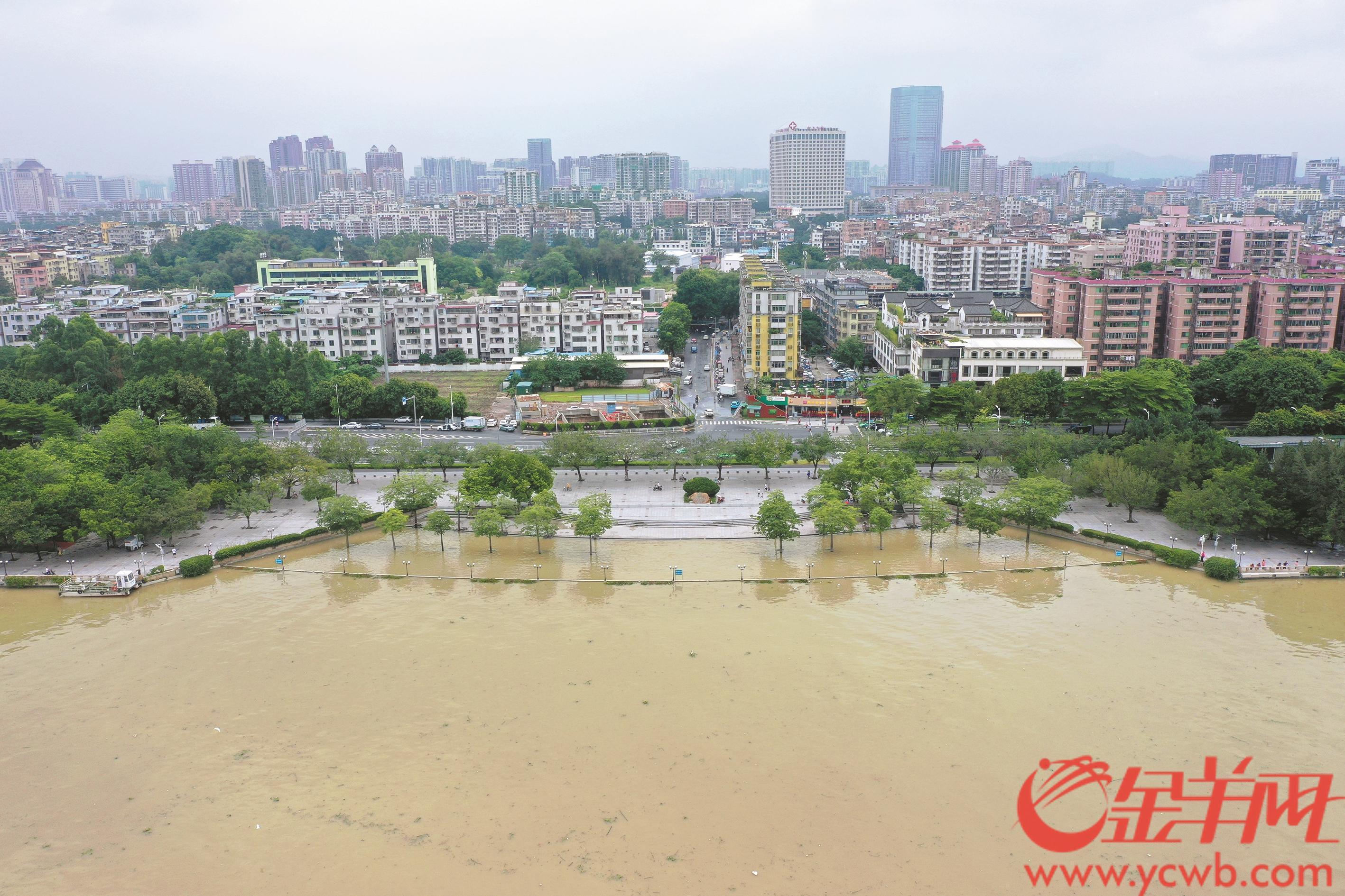 广州城市内涝图片