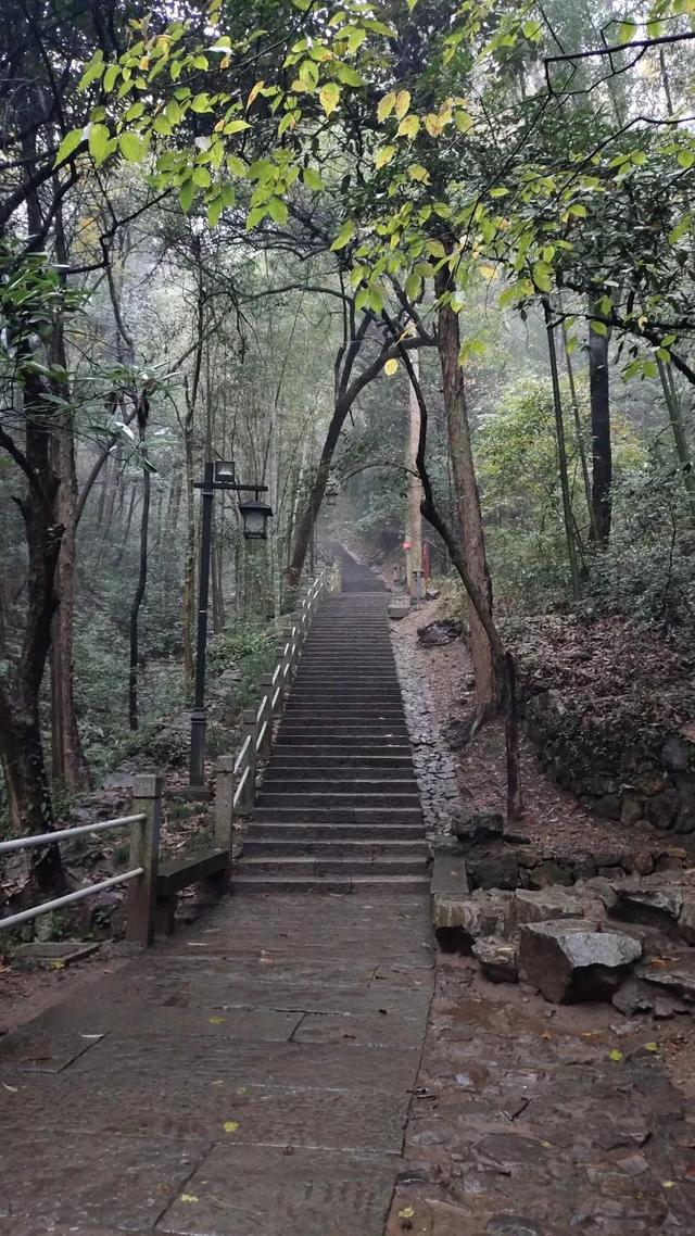 雨 游灵隐寺