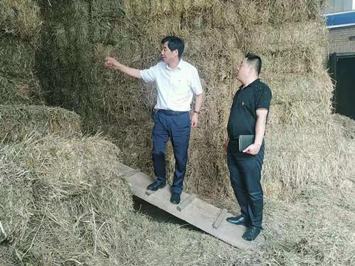 宝鸡市人大常委会副主任,县委书记杜长生调研河北镇当前重点工作