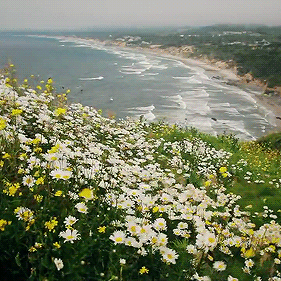 吴士存:怀念母亲