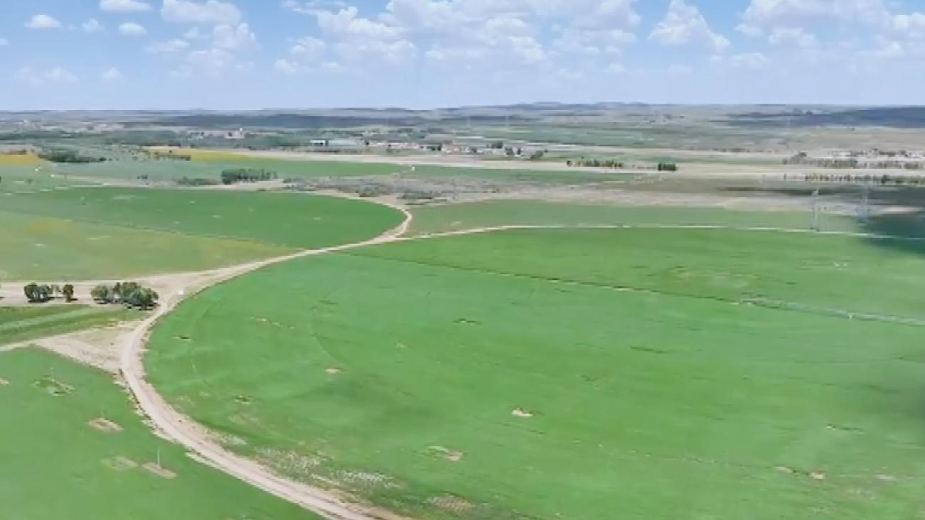 四季旅行·印象内蒙古|内蒙古武川县:草已绿 花正开