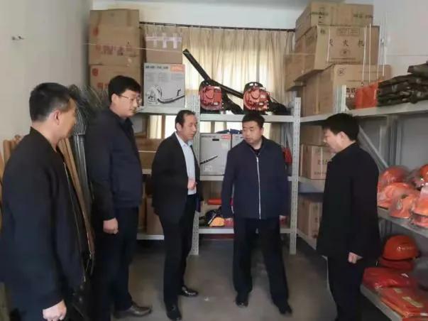 白水县委副书记王振华深入林皋镇督导检查节前重点工作