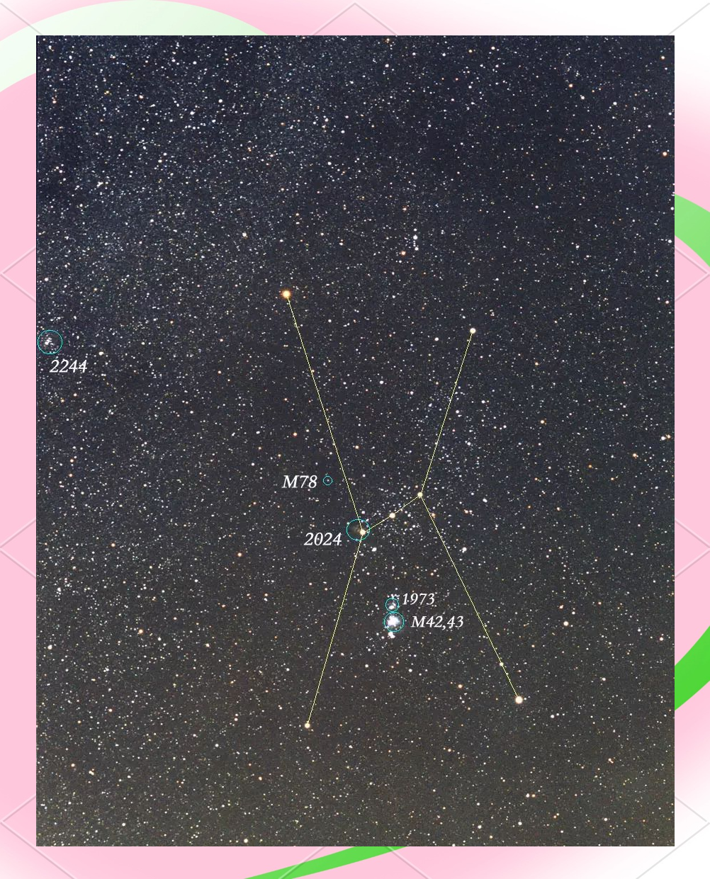 探索冬夜猎户座的璀璨星光