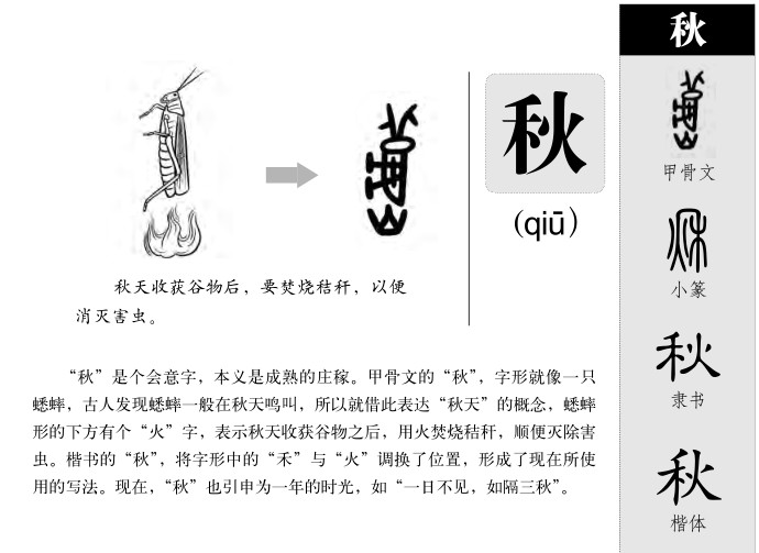 秋字的演变过程图片图片