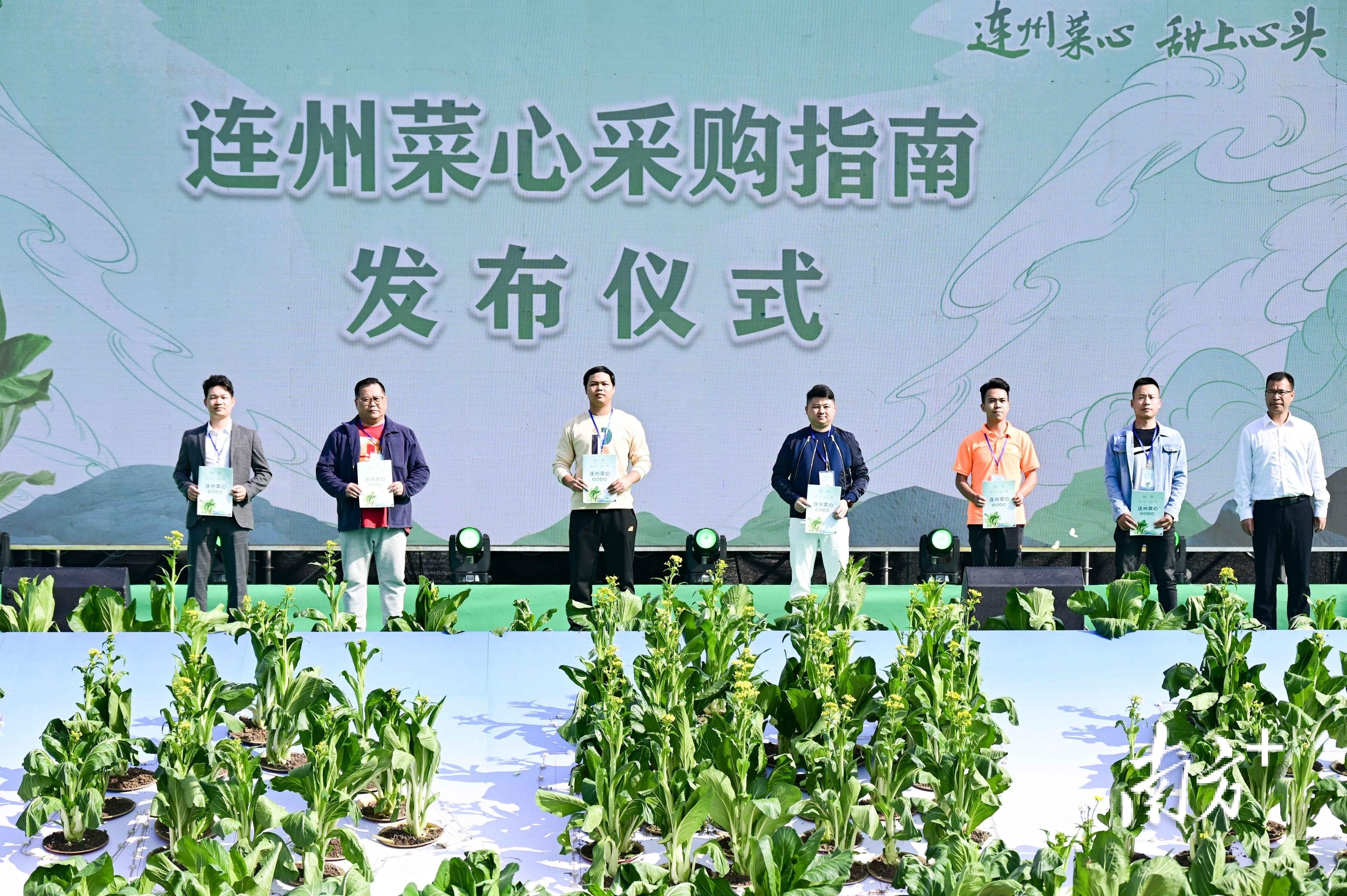 中国蔬菜流通协会助力连州菜心产销对接走向全国