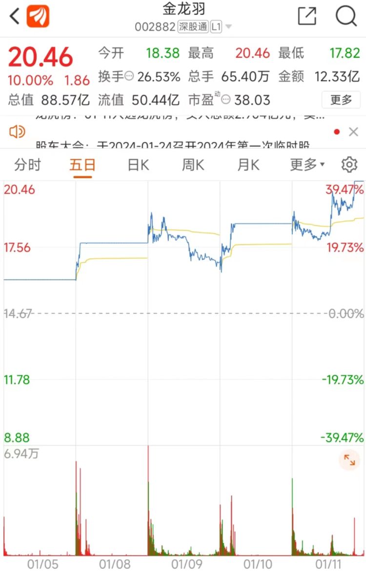 金龙羽股票图片