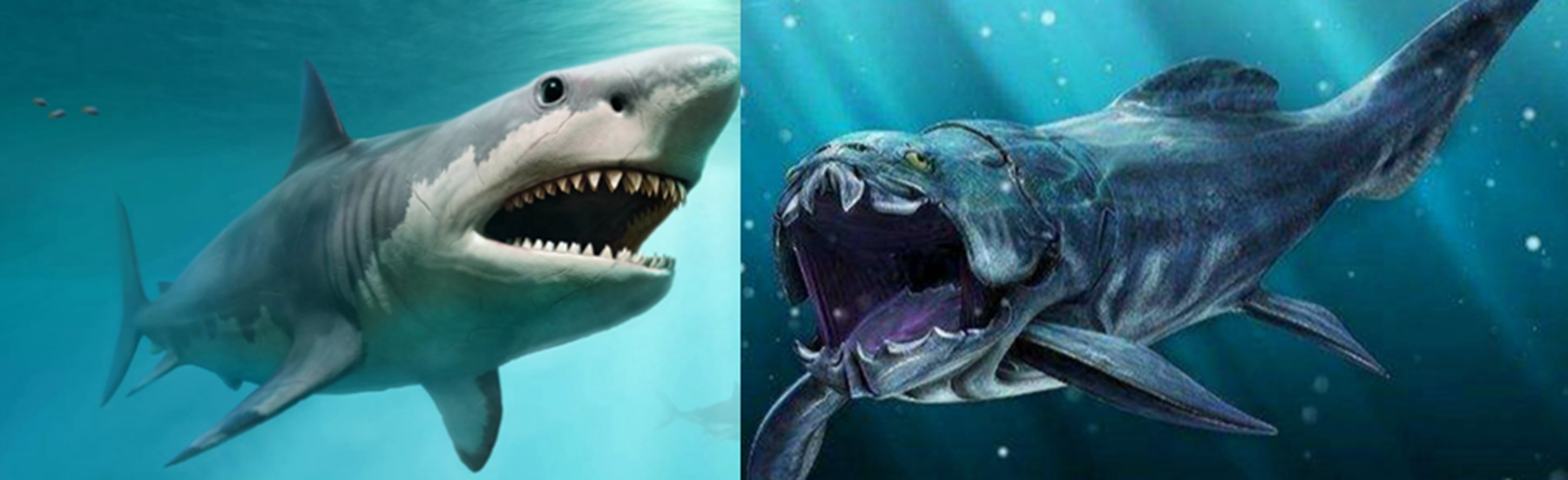 巨齿鲨vs邓氏鱼谁厉害?邓氏鱼灭绝了吗?