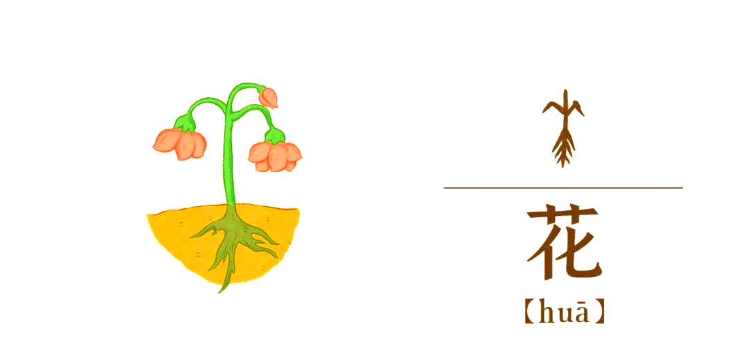 探索汉字起源与演变:趣解象形字背后的故事