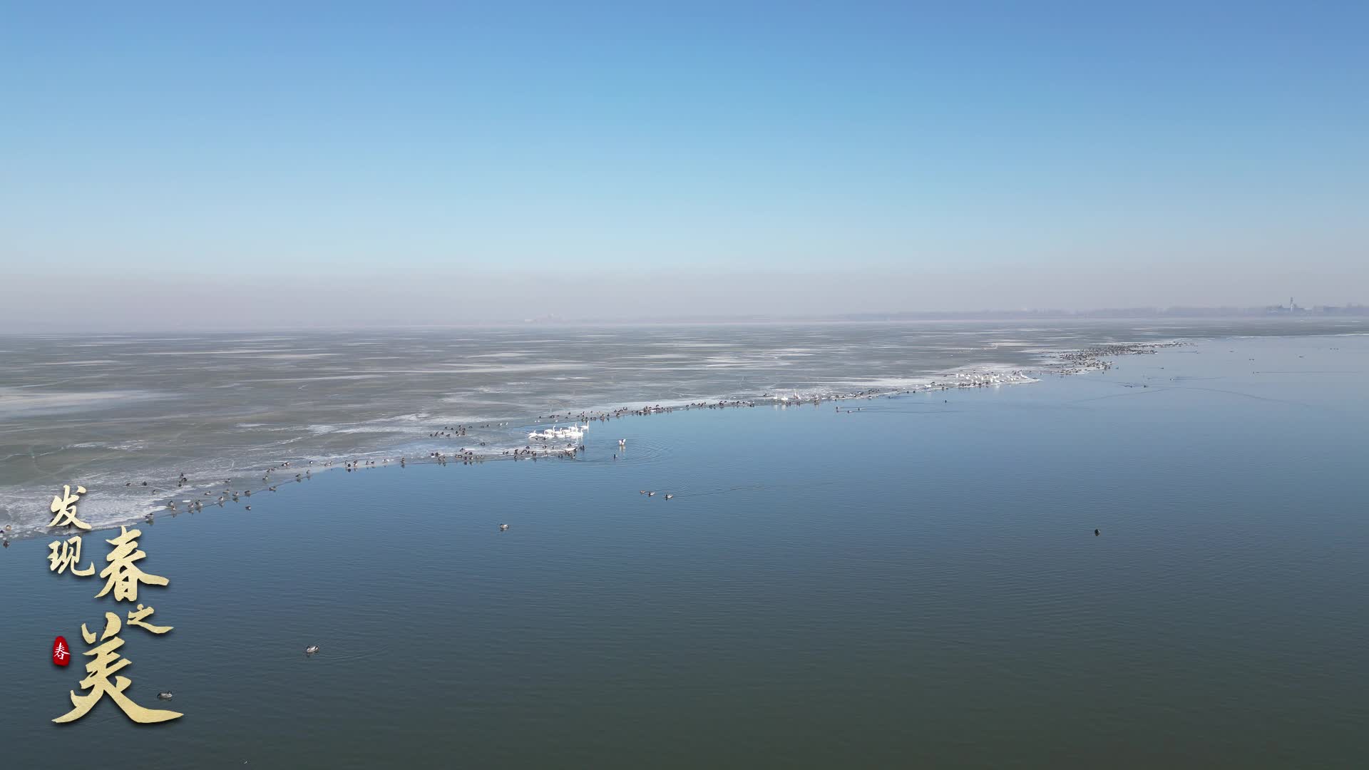 「发现春之美」康平卧龙湖:百万候鸟大迁徙启幕