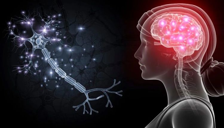 产业观察|深圳,正在打开万亿级"脑宇宙"