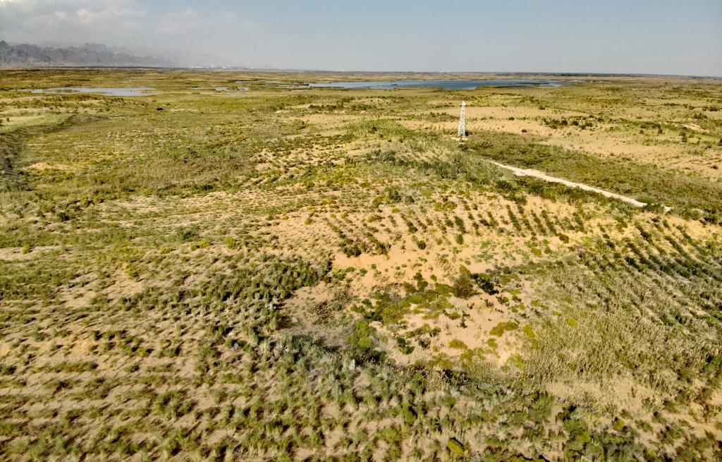 绿色屏障锁住"红色公牛"