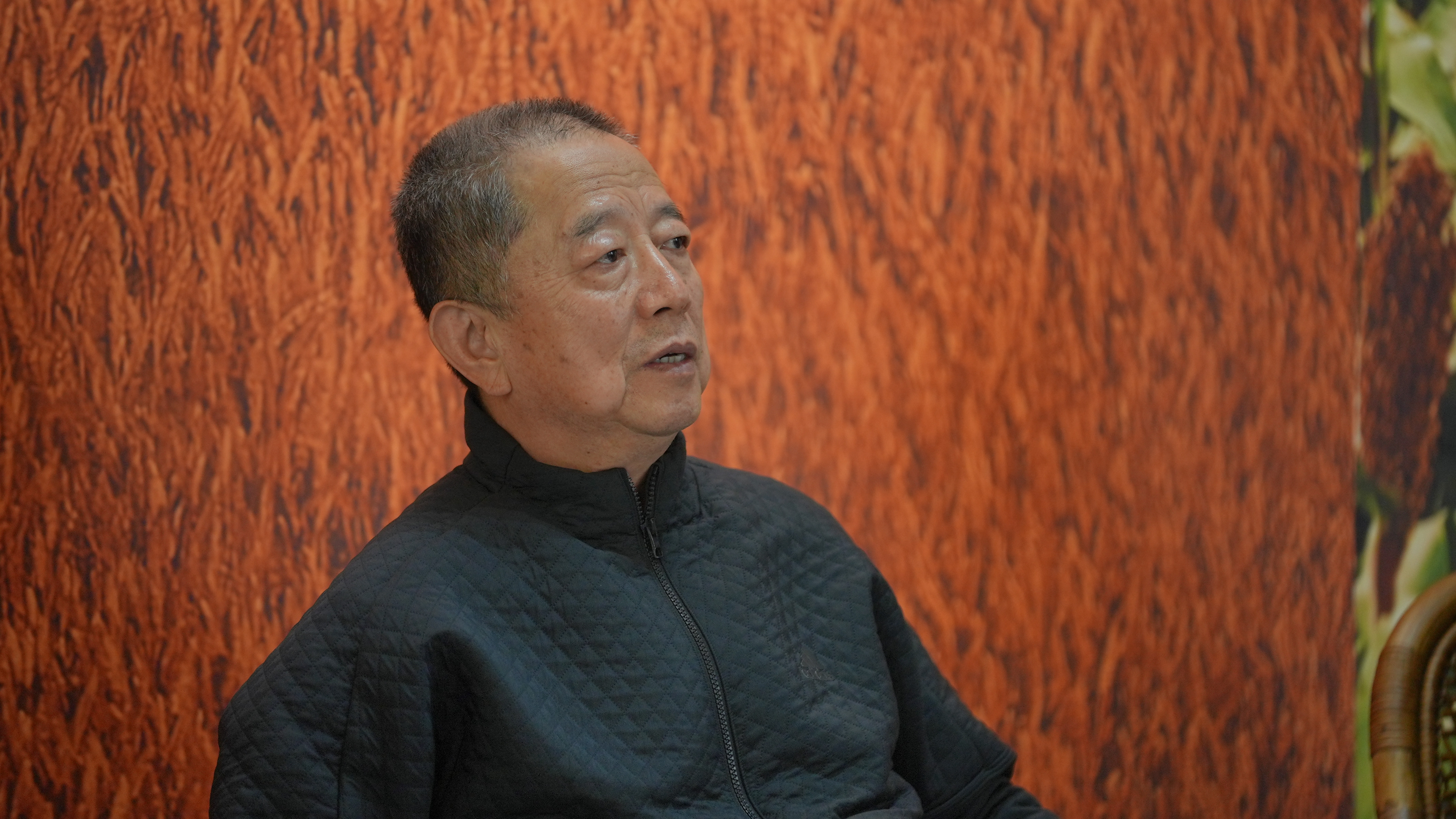 专访胡葆森:下一个16年,建业依旧扎根河南