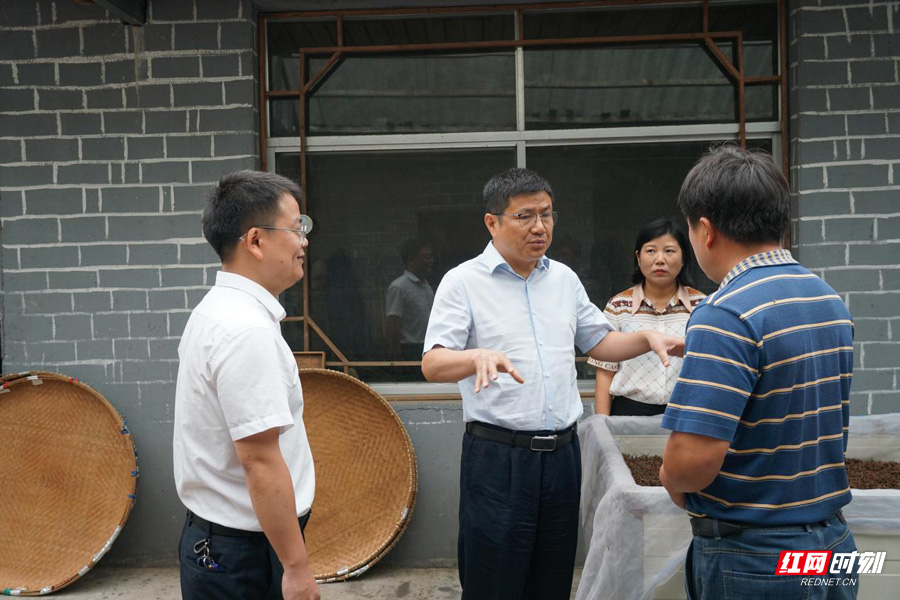 杨洪峰带队调研天子山街道"三联四建"工作