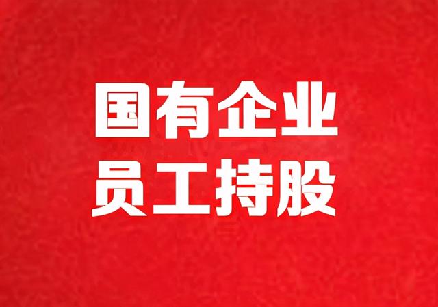 彭胜玉:国企改革核心应放在用制度完善来克服干部提拔制度弊端