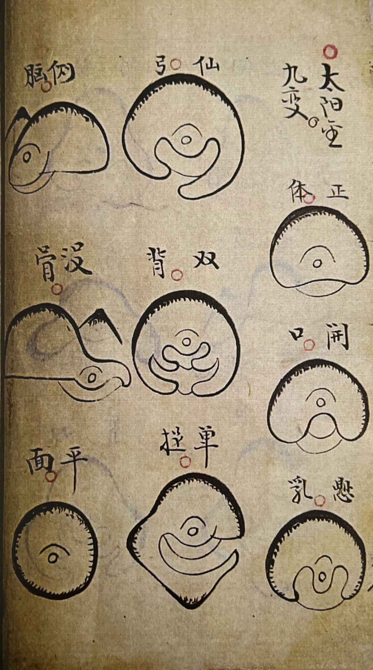 地理峦头论古书籍