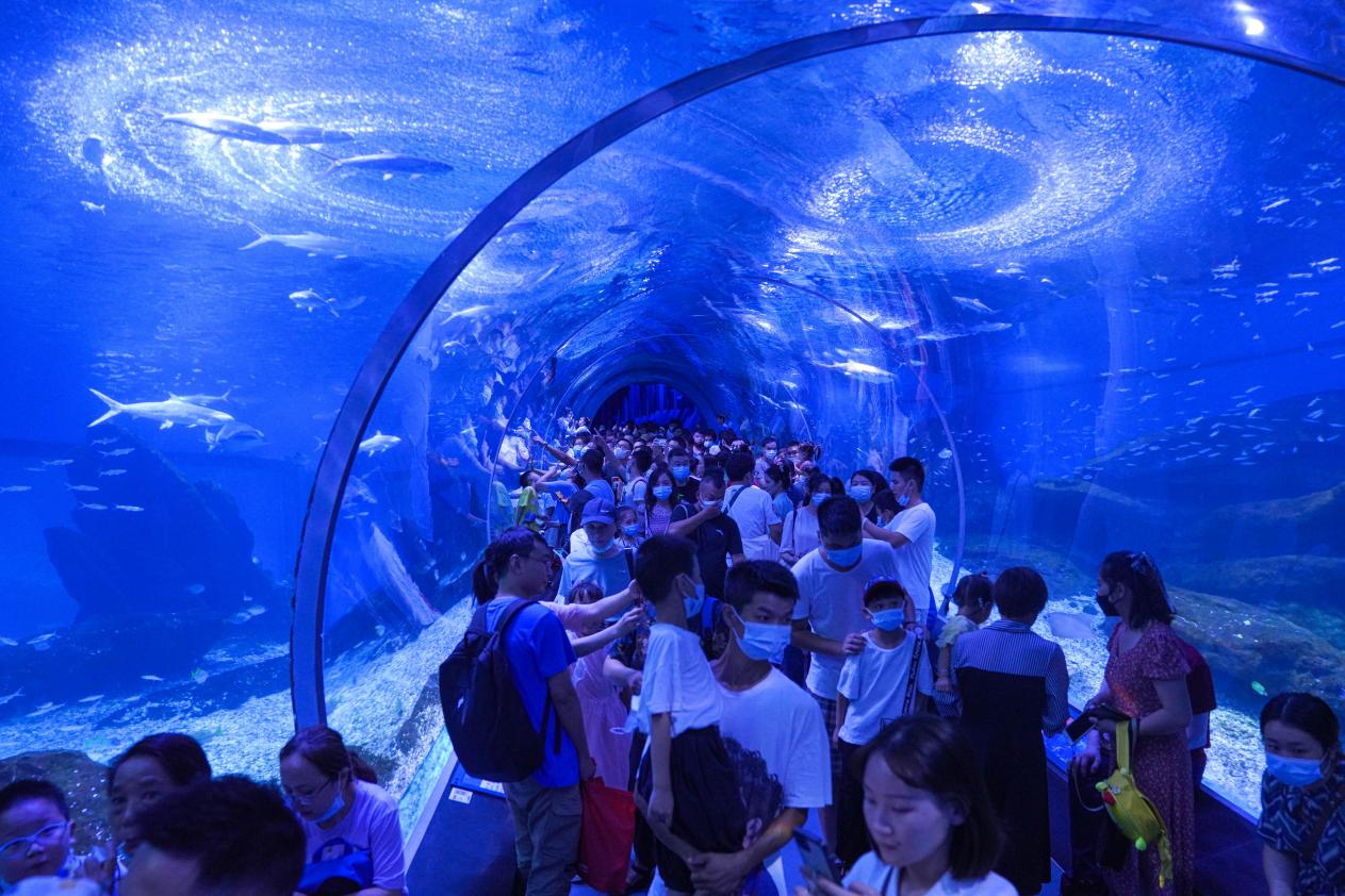 國慶首日出遊高峰,極地海洋公園接待人數同比往年上漲百分之五十