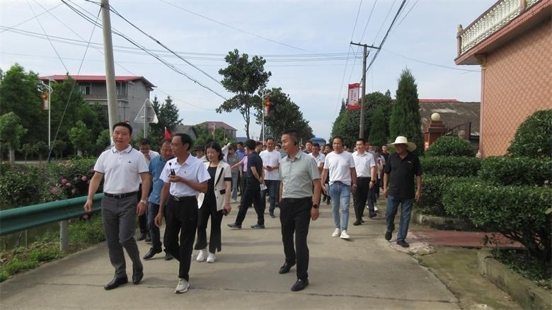 南县华阁镇开展"每日美化"行动整治人居环境取得成效