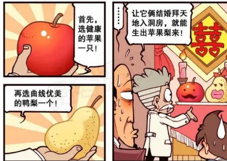 讲解水果合体实验过程!高大尚手机套!